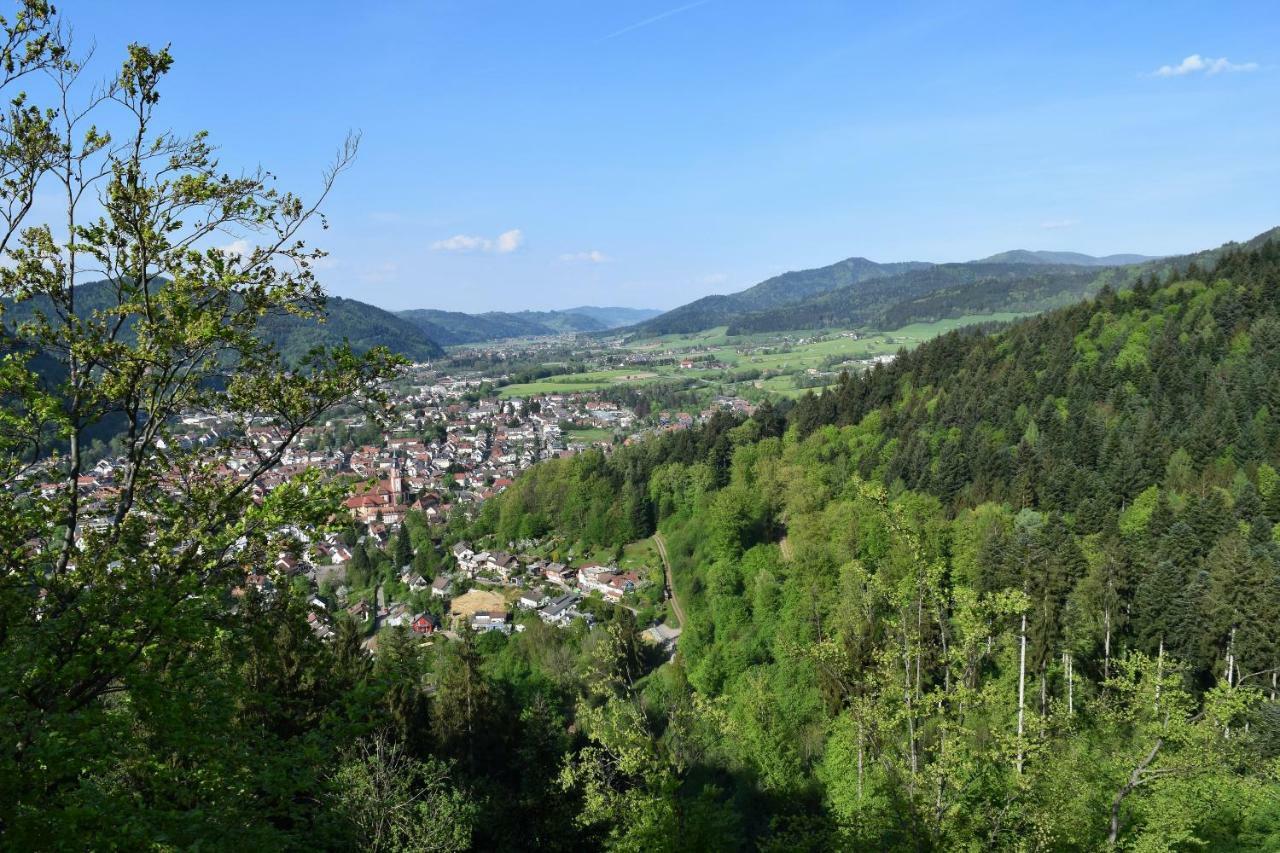 Ferienwohnung Im Dettenbachtal Вальдкірх Екстер'єр фото