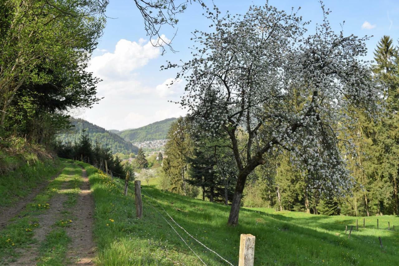 Ferienwohnung Im Dettenbachtal Вальдкірх Екстер'єр фото