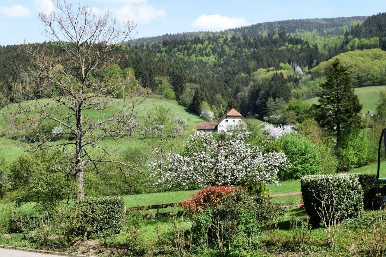 Ferienwohnung Im Dettenbachtal Вальдкірх Екстер'єр фото